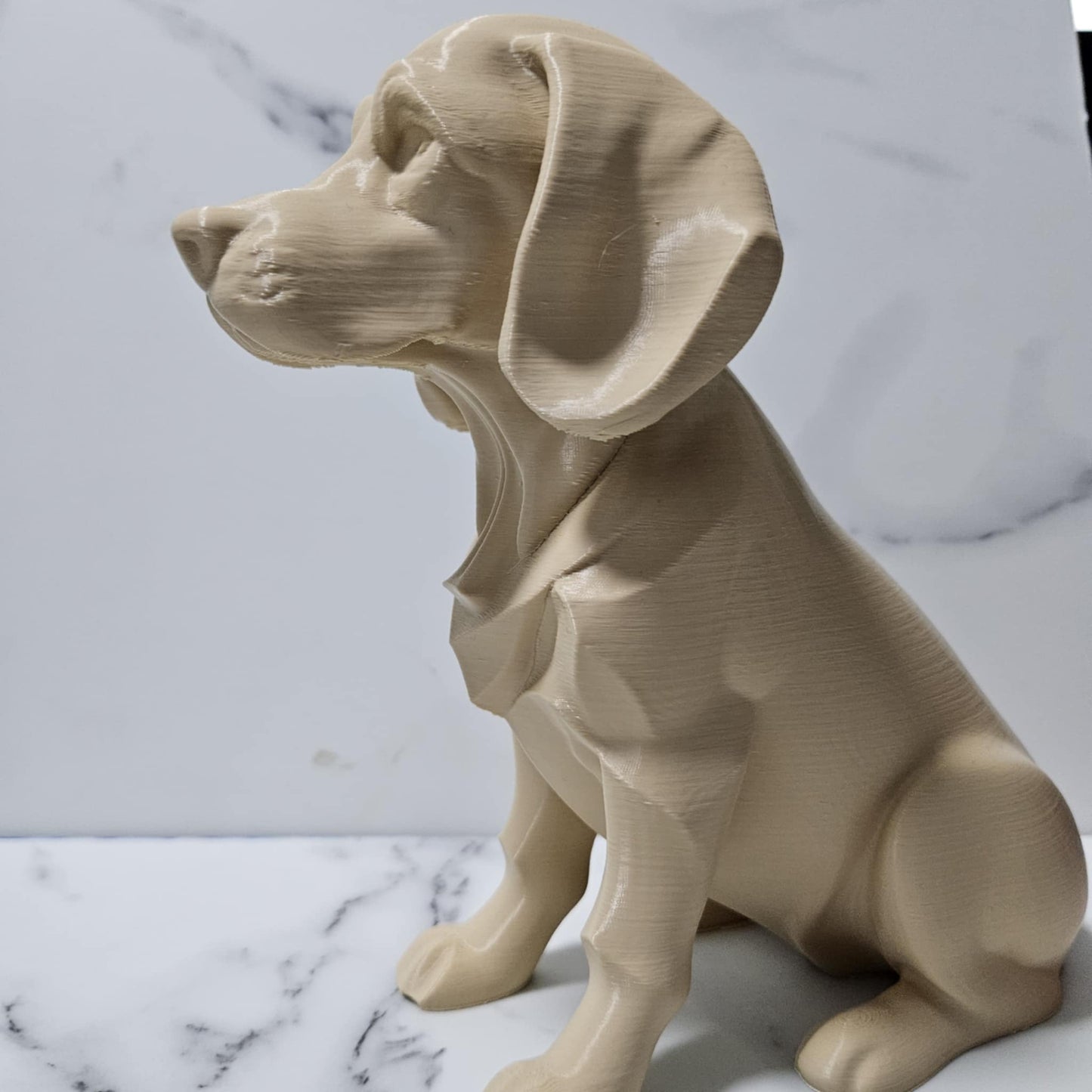 Beagle