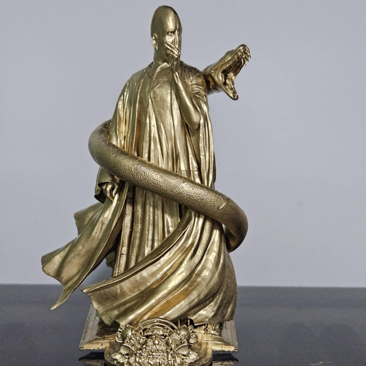 Voldemort Harry potter