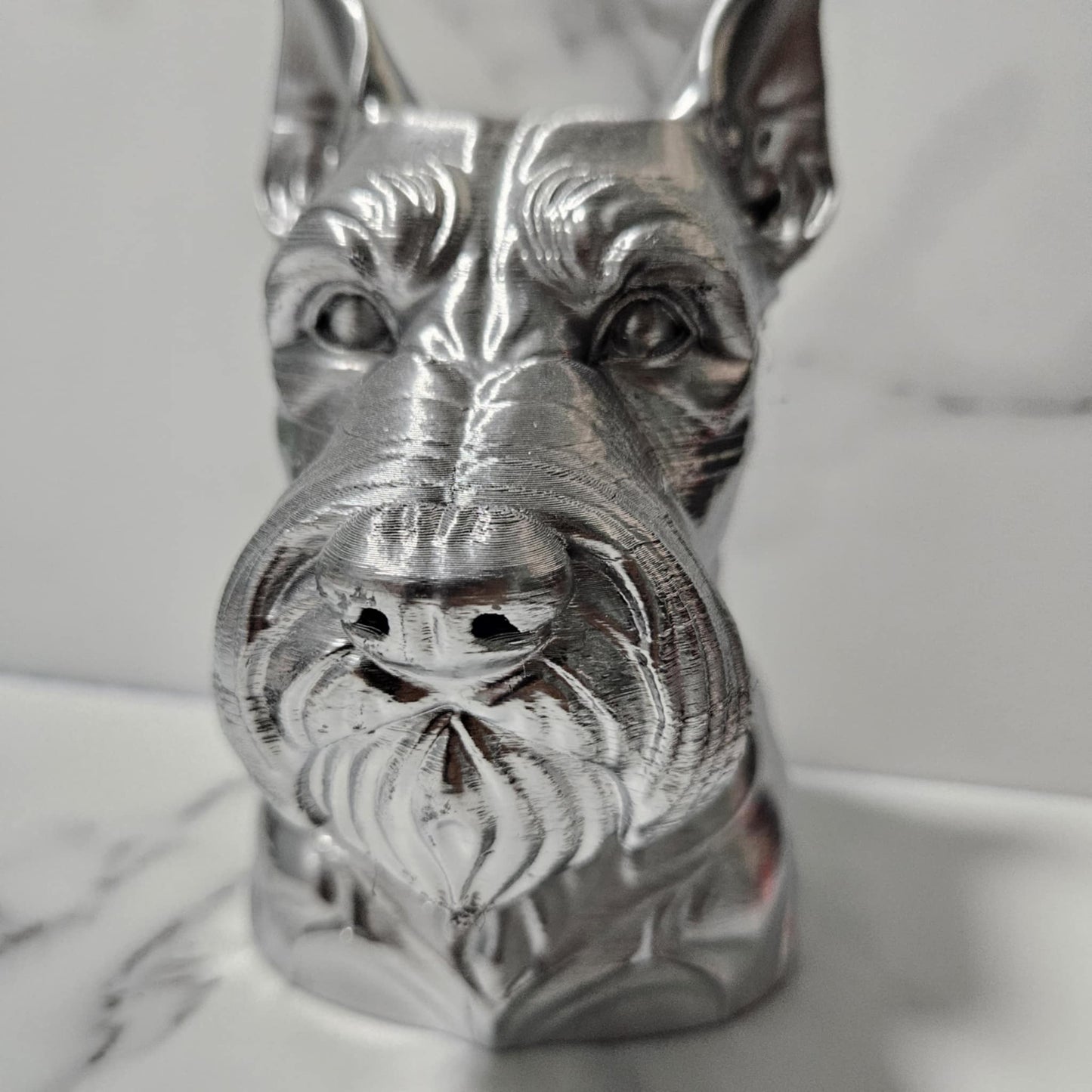 Schnauzer