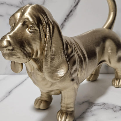 Basset Hound 2