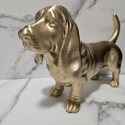 Basset Hound 2