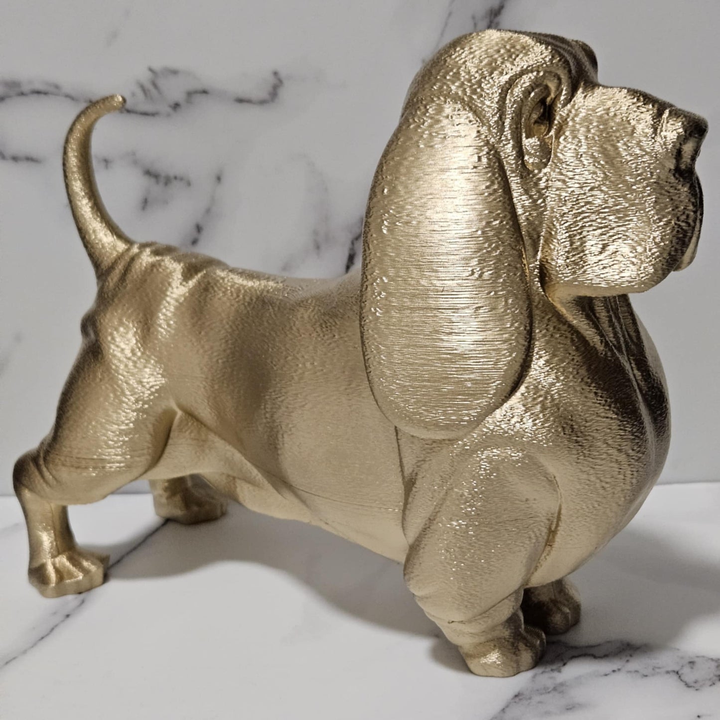Basset Hound